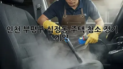 인천 부평구 십정동 주택 청소 정기 계약